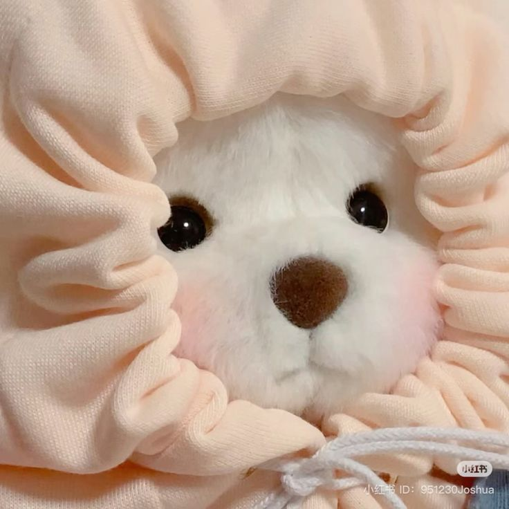 one ฅ՞•ﻌ•՞ฅ -14/30 tweet media