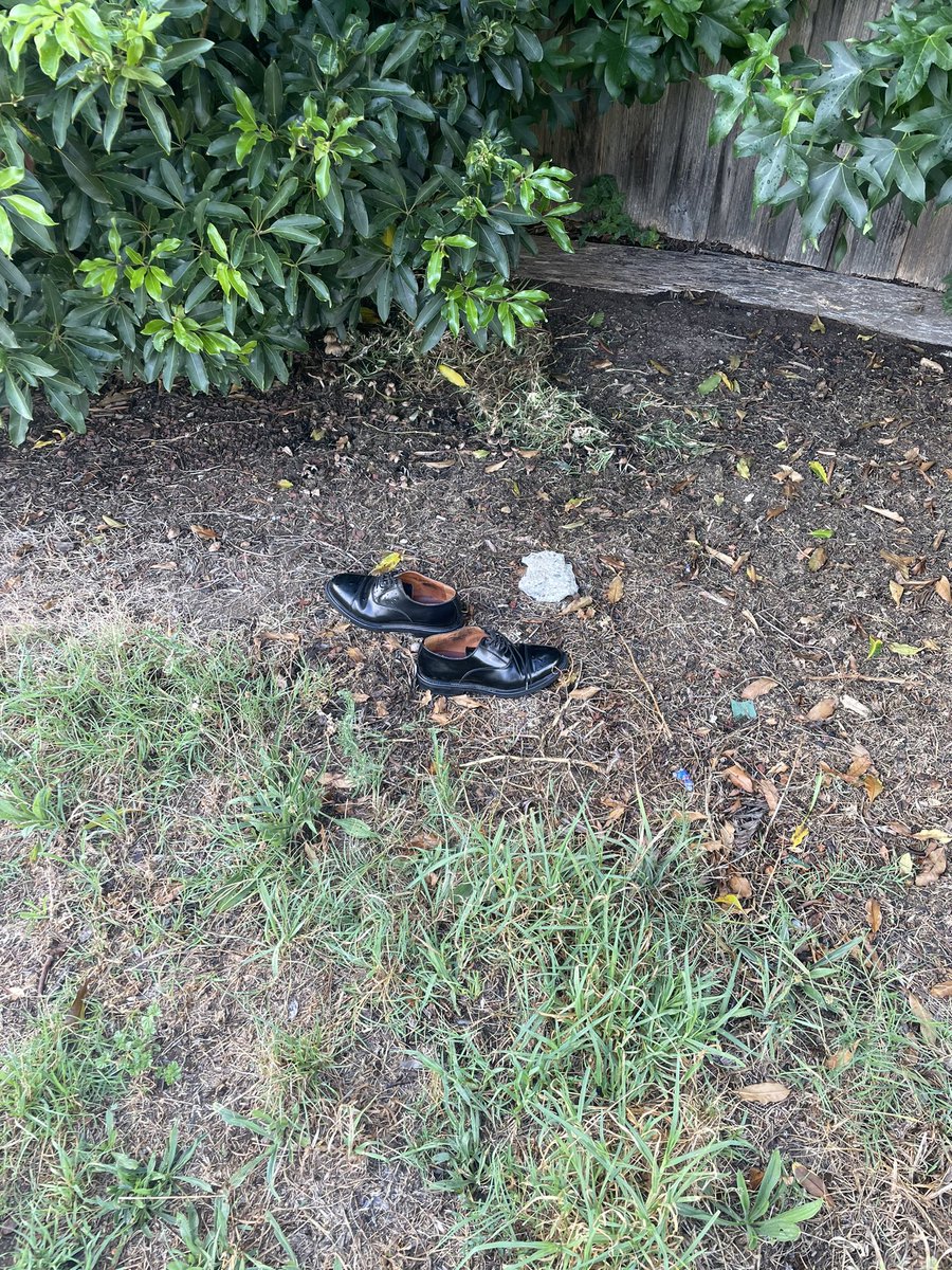 Marcus Teague tweet media