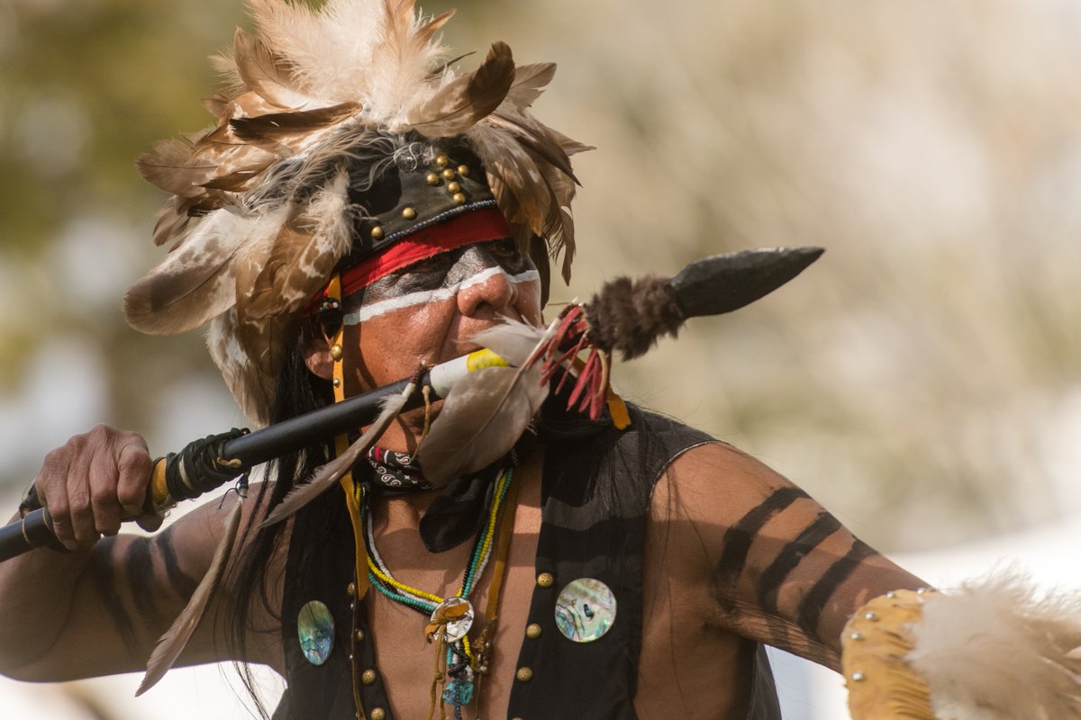 Did you know? Arizona is made up of 22 indigenous tribes! 

Explore the culture of these tribes at Arizona Indian Festival 2025 at the Scottsdale Civic Center on Feb. 1st—2nd: bit.ly/3WgOaVo