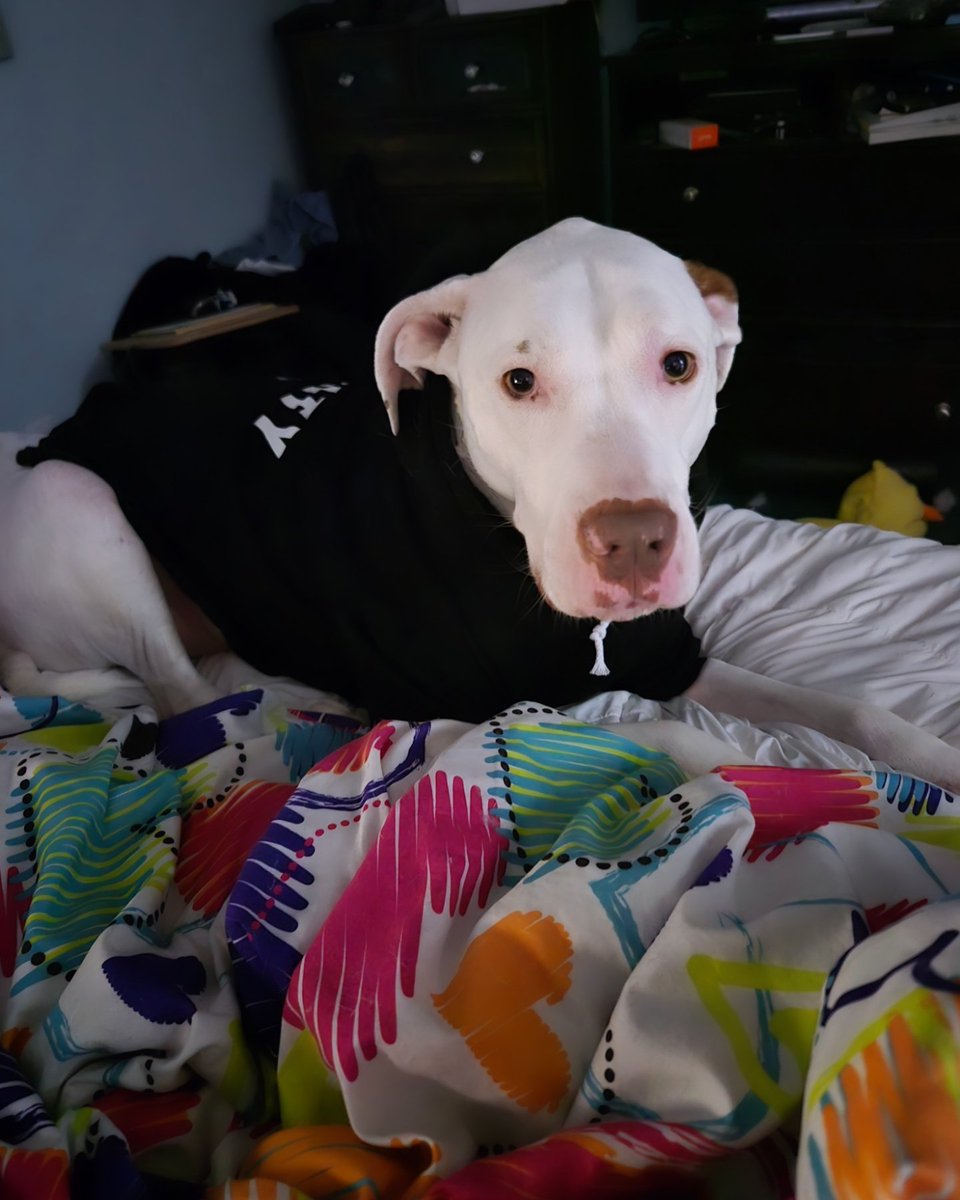 TraderJill (Leigh) tweet media