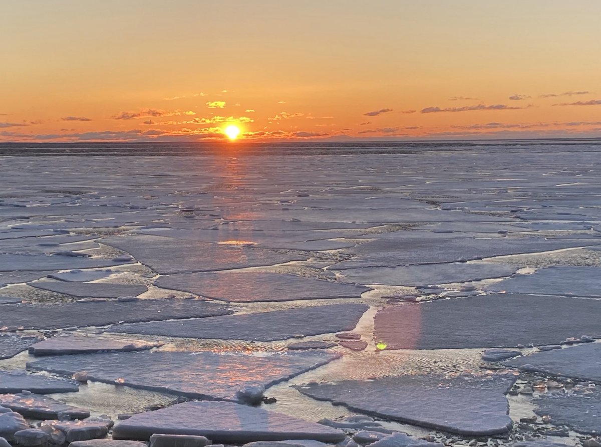 Lake Michigan tweet media
