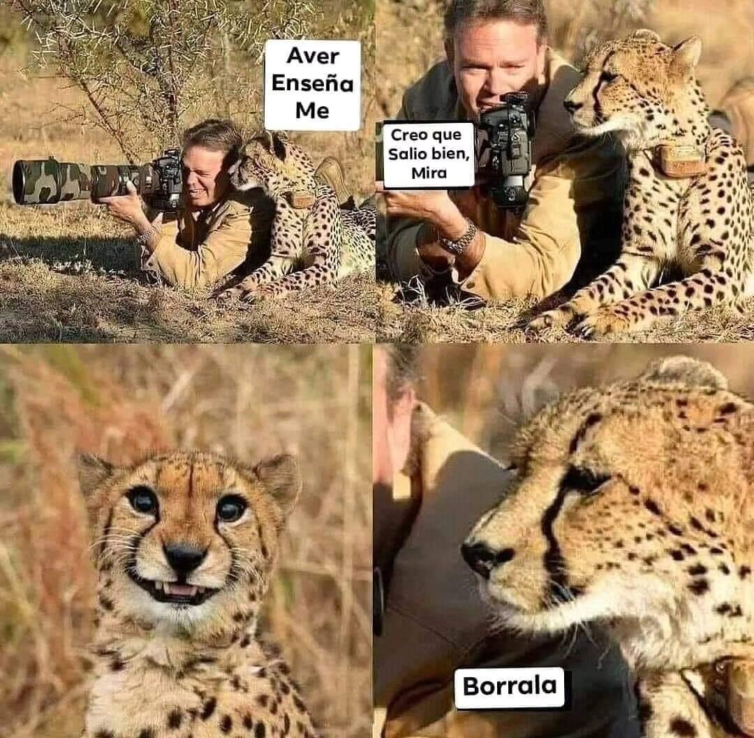 M. I. L. C. H. tweet media