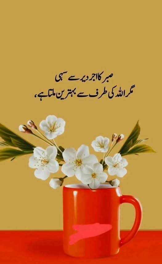 DrMahaRajput's tweet photo. Good morning X family https://t.co/I3j2MyTsj5