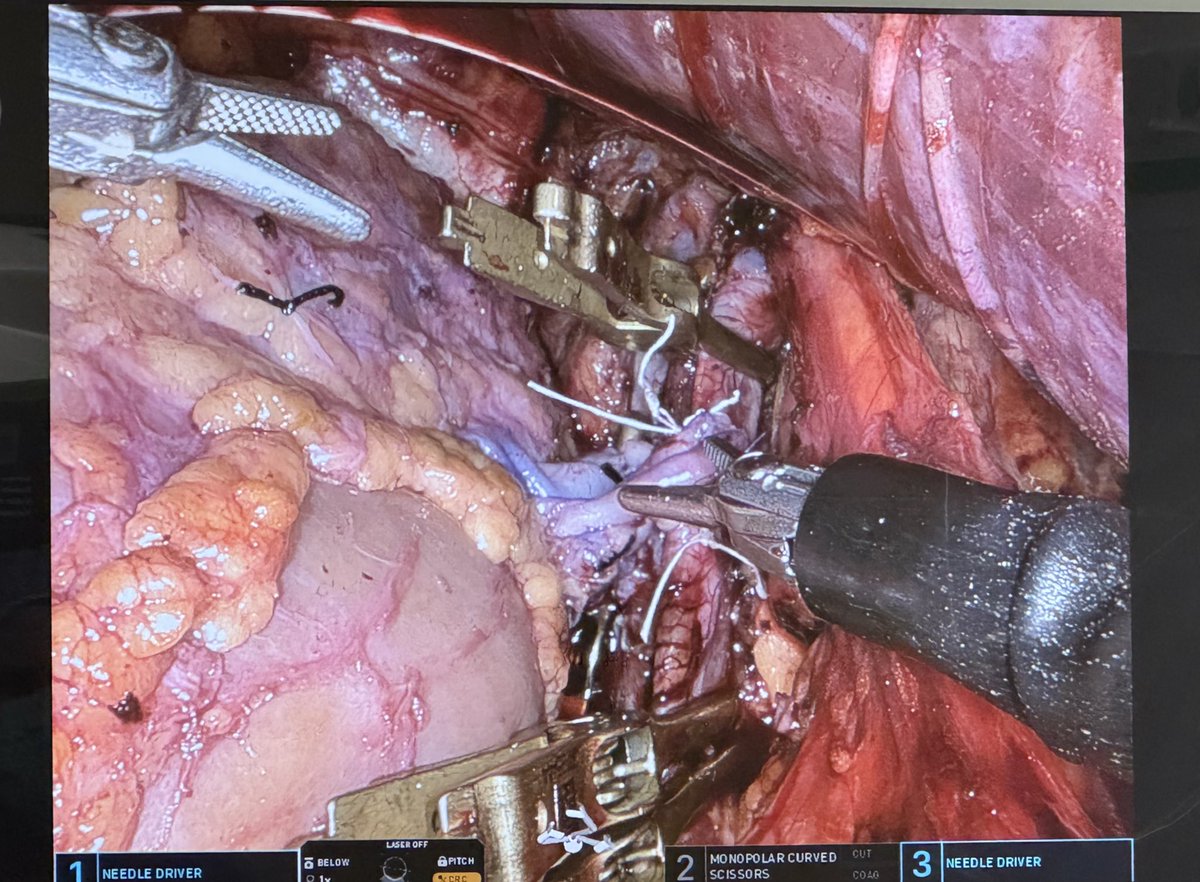 Simone Crivellaro tweet media