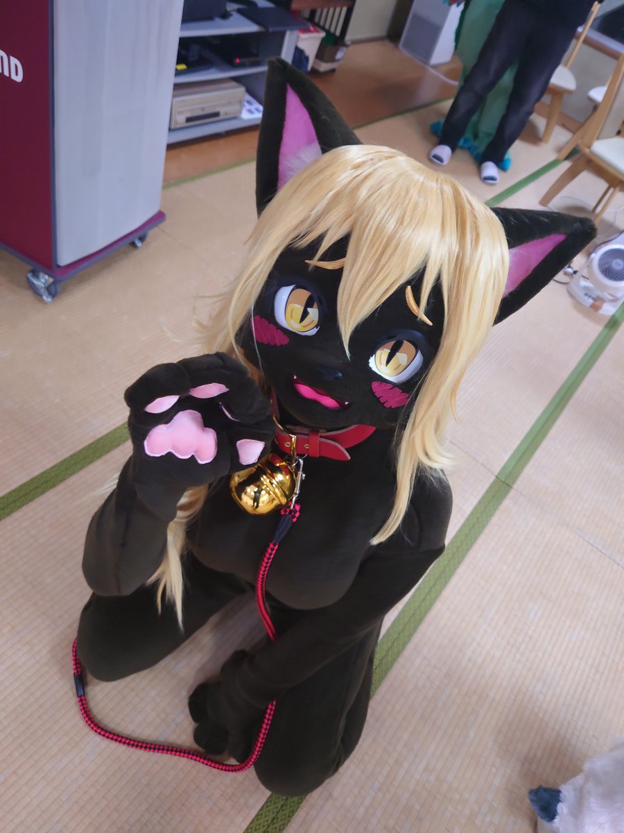 tsubasa9940's tweet photo. 昨年１２月に現界した黒猫ちゃんは、るーふぁさん(@lu_pha)による製作のもと実現しました！ https://t.co/GcR3H3h0HX
