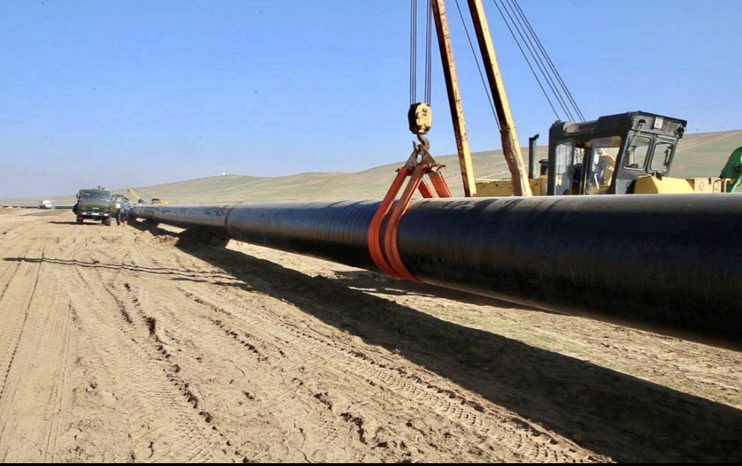 Vladimir Norov tweet media