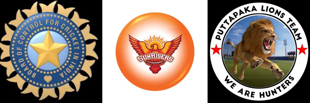aditya_dictator's tweet photo. The only #Cricket Teams I love ❤️ 

• Indian Cricket Team
• Sunrisers Hyderabad 
• Puttapaka Lions Team

Coz these people made me to believe unity is real … ✍️🔥💖 https://t.co/BhAau0x5Iz
