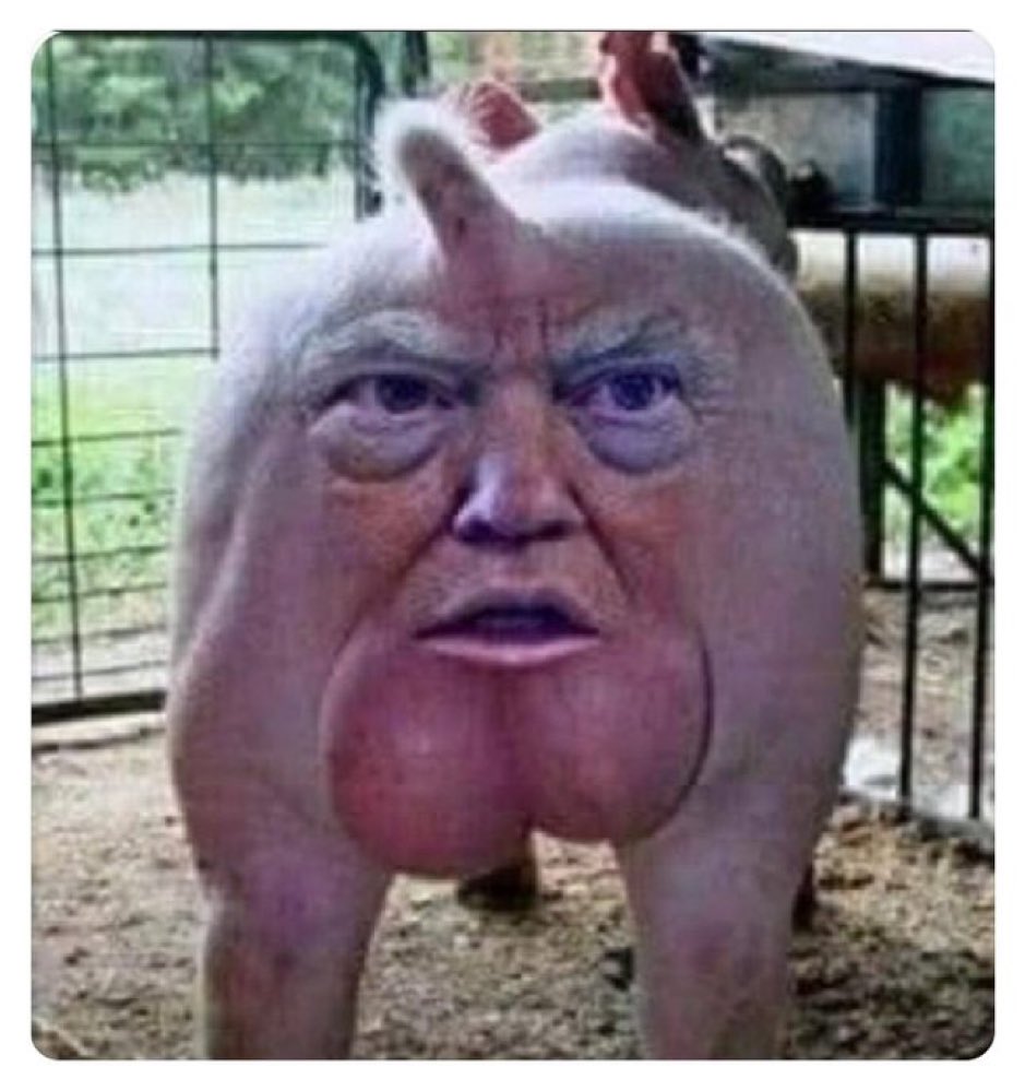 Fernando Oliver, Esq. tweet media