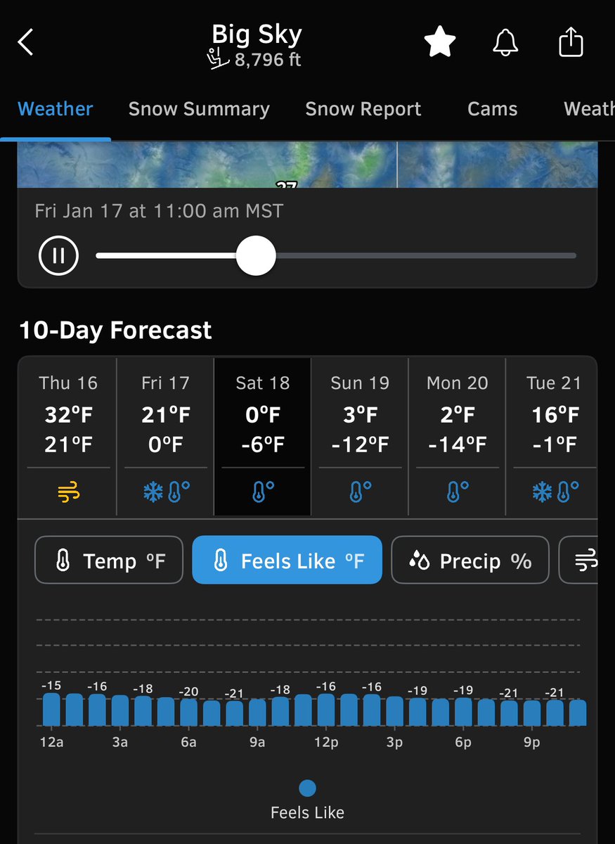Very General Orthopaedist tweet media