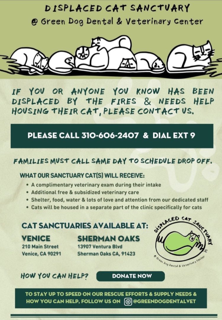 Official Basiltux! tweet media