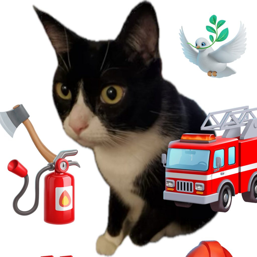 LOS ANGELES: Green Dog Vet in Sherman oaks &amp; Venice are offering FREE services for wildfire affected pet families, including search and rescue, cat sanctuary, free veterinary relief (burns, respiratory etc.,) and pet care donations at both locations! SHARE 🙏🏻🚒