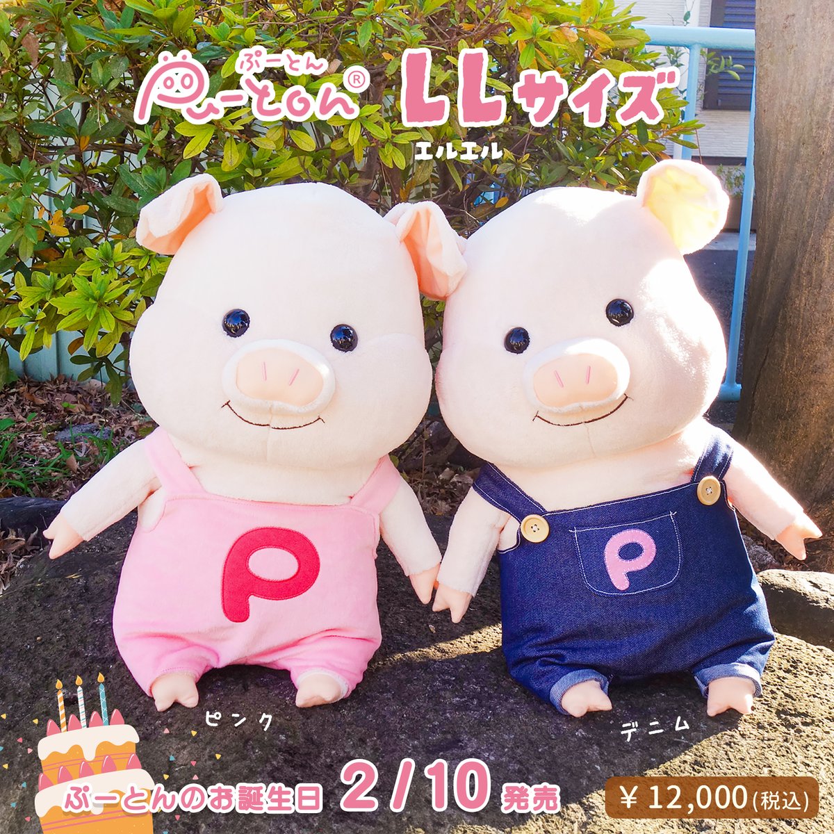 🍑新商品のお知らせ🍑 こぶたの #ぷーとん から「LLサイズ