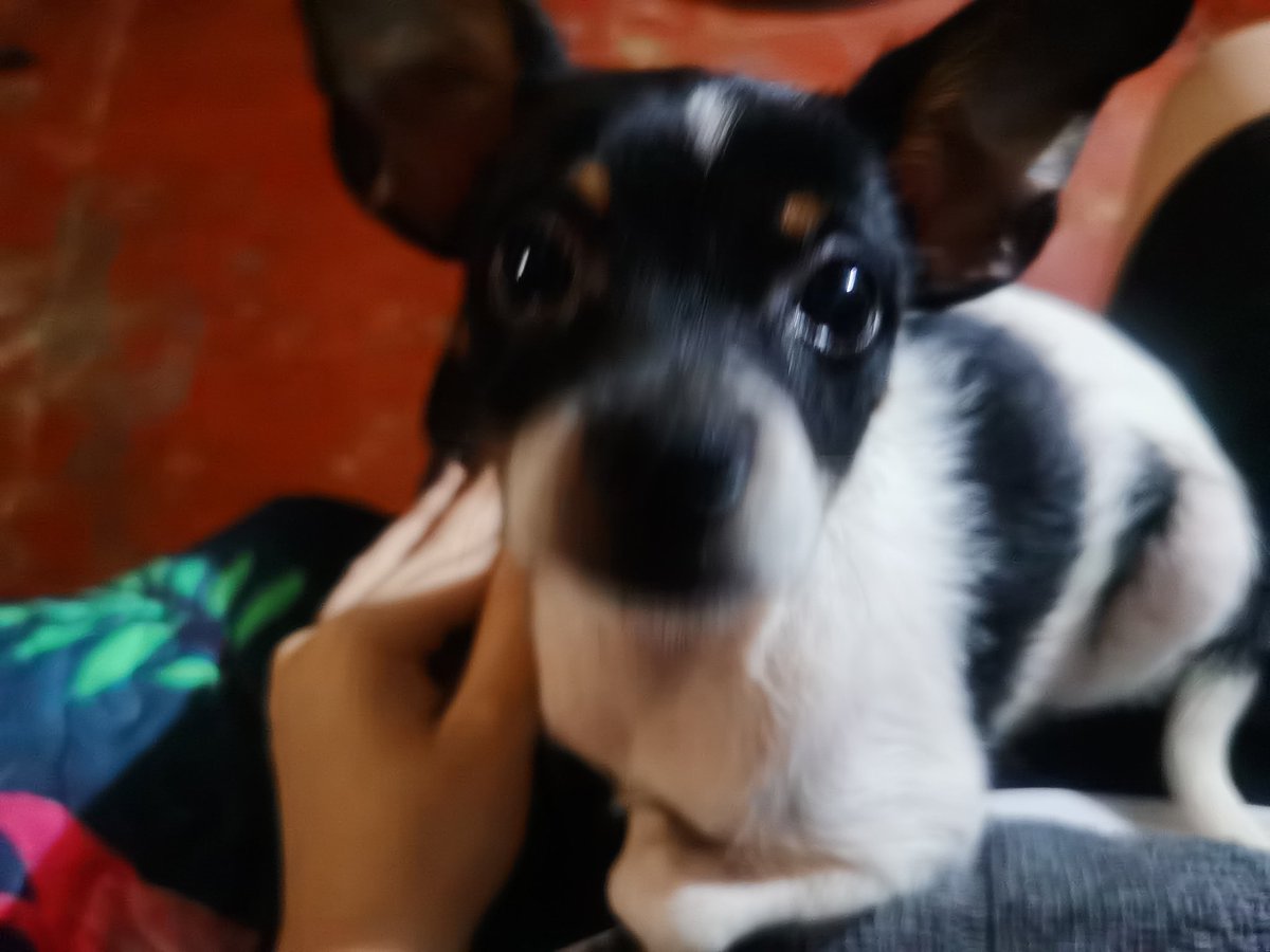 etharial_'s tweet image. MY LOOOOOVEEEEEEEEE