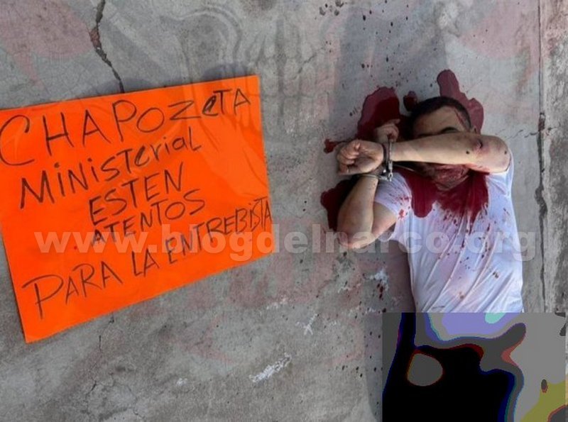 Blog del Narco México tweet media