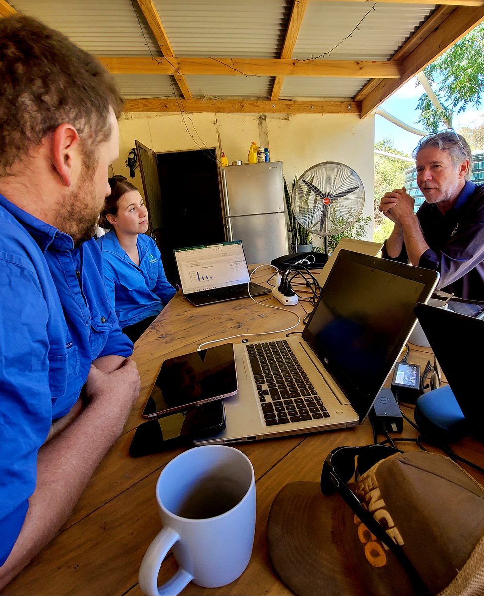 Going though crop plans for 2025 and also looking back on the 2024 gross margins with <a href="/PinionAdvisory/">Pinion Advisory</a>... Canola being the stand out with a whopping $865/ha!! 🤯
#StarkeyFarms
