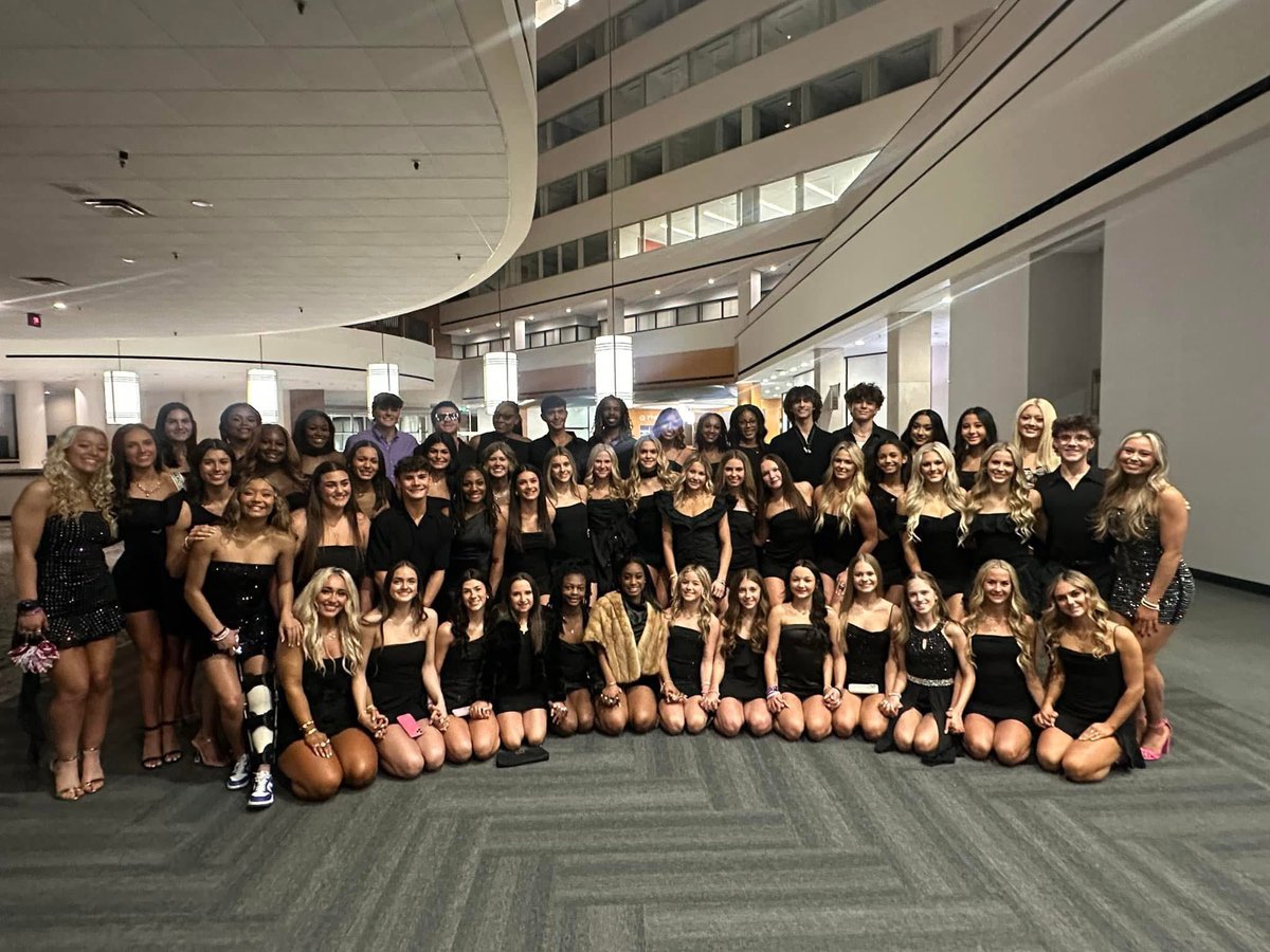 royal sharks 💜👸🩷🦈