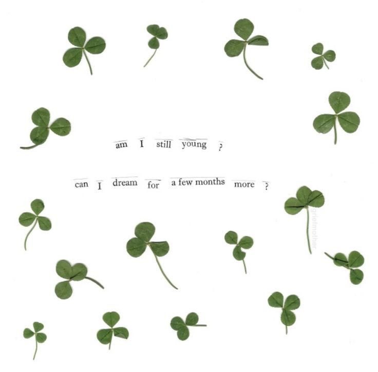 faewings's tweet image. 