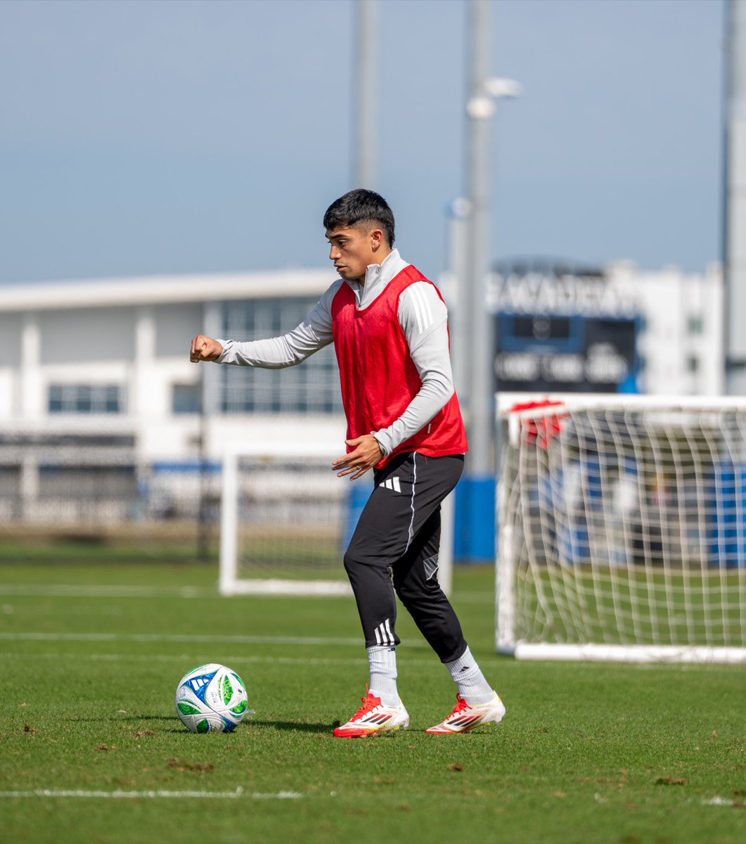 Luca Langoni tweet media