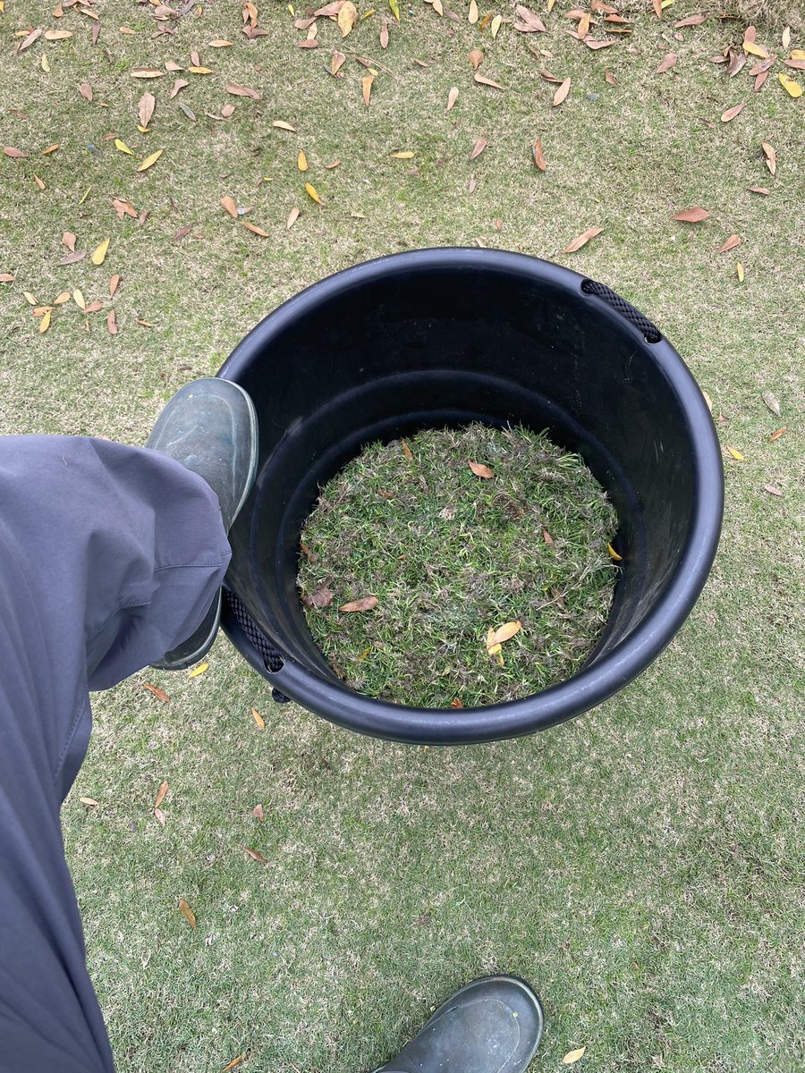 JonRoe47662433's tweet photo. Reshaping bunkers and pulling poa. It’s what all the cool kids are doing
#eaglegolfsuper #turftoday #GCSAA #projectseason https://t.co/xWfwAjzAYW