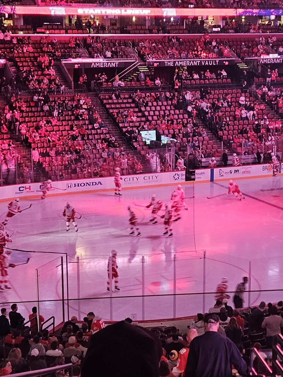 celli5219's tweet photo. #LGRW @DetroitRedWings beat the panthers GO WINGS https://t.co/dw1xOyD8lh