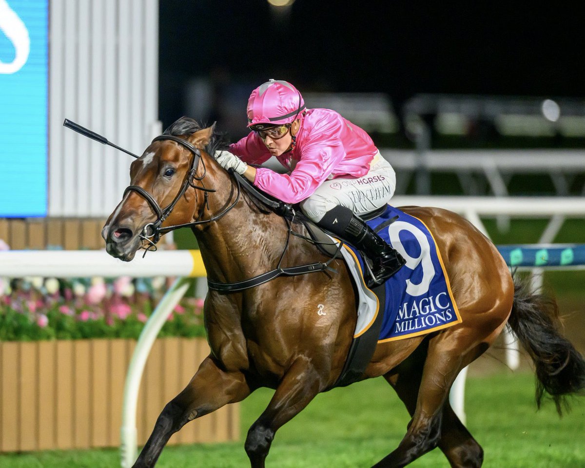 Arthur Hoyeau (@arthurhoyeau) on Twitter photo Best of luck to <a href="/munceracing/">Munce Racing</a> with Vein Girl in this evening’s $3M <a href="/mmsnippets/">Magic Millions</a> 2YO Classic at <a href="/GCTurfClub/">Gold Coast Turf Club</a>.
We sourced the exciting daughter of <a href="/DarleyAus/">Darley in Australia</a>’ Blue Point at last year’s Gold Coast Yearling Sale with her trainer from <a href="/ThreeBridges1/">Three Bridges</a>.
Photo: Vein Girl as a yearling and Best of luck to <a href="/munceracing/">Munce Racing</a> with Vein Girl in this evening’s $3M <a href="/mmsnippets/">Magic Millions</a> 2YO Classic at <a href="/GCTurfClub/">Gold Coast Turf Club</a>.
We sourced the exciting daughter of <a href="/DarleyAus/">Darley in Australia</a>’ Blue Point at last year’s Gold Coast Yearling Sale with her trainer from <a href="/ThreeBridges1/">Three Bridges</a>.
Photo: Vein Girl as a yearling and