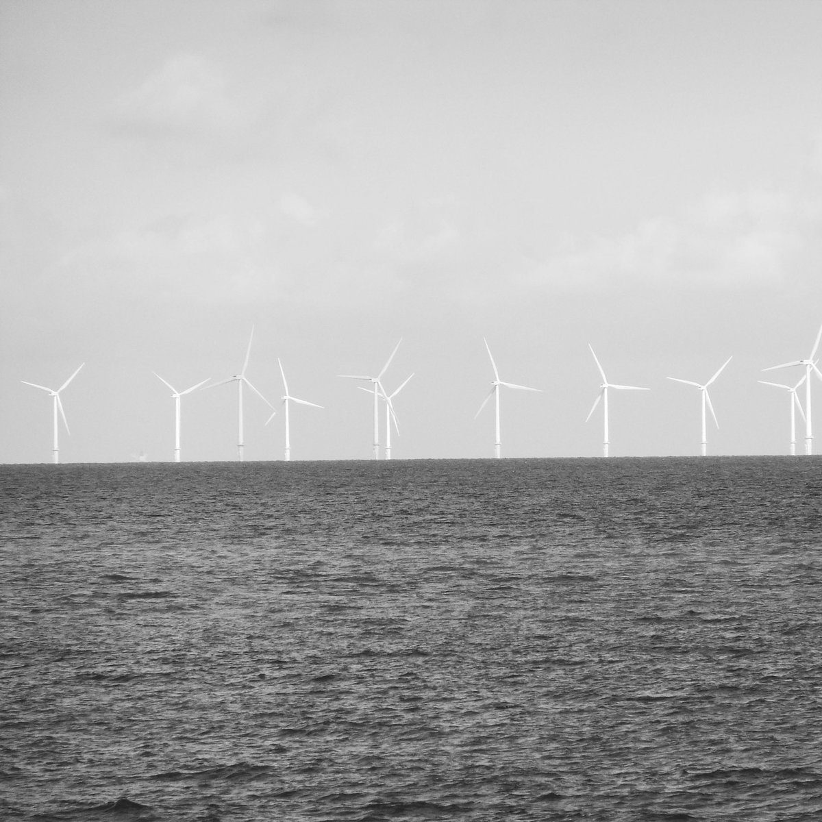 Limn (@limn_press) on Twitter photo Jamie L. Jones investigates how whaling history lives on in Nantucket’s energy politics for Limn 11 - The Obsolescence Issue <a href="/JamieLJones8/">Jamie L. Jones</a> Jamie L. Jones investigates how whaling history lives on in Nantucket’s energy politics for Limn 11 - The Obsolescence Issue <a href="/JamieLJones8/">Jamie L. Jones</a>