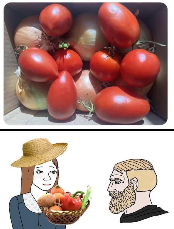 nacional_memes's tweet photo. Un ganador: Mujer llevó a su cita con un hombre cebollas y tomates de su propio jardín para obsequiarle  🐺 https://t.co/EfhK65OfMh