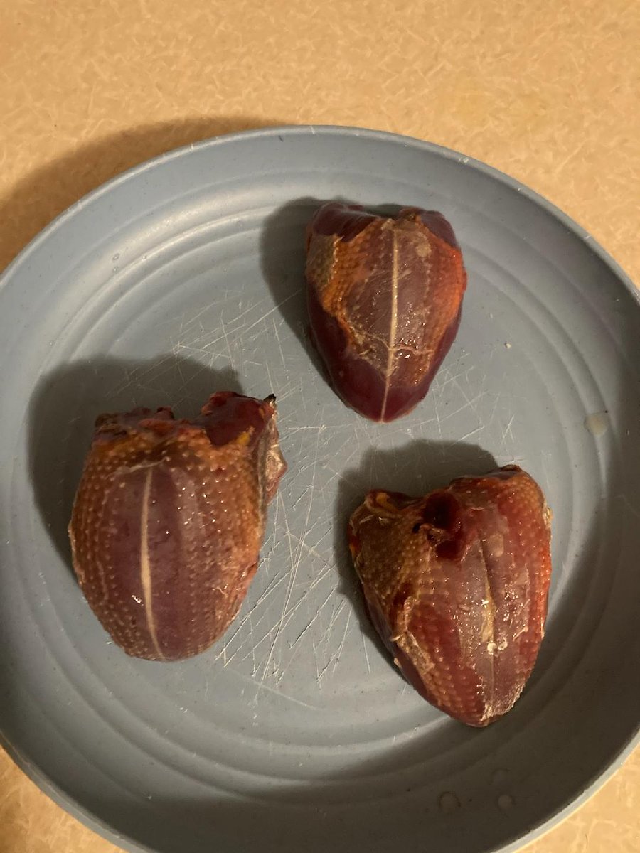 TSharkgang's tweet photo. I Got The Bag X Man! @XavierLegette Gonna Invite You Down To Ocala FL To Hunt The WMA & Largest National Forest Here With Me!
Hogs Doves Squirrels & Plenty Of Other Game Animals Also🤙🫂🎯🦈 @CoachSBeamer @coachfurrey @ROBERTSON_9TWO @DMoSpeaks @CoachClaytonW #FamilyThings 🐿️🕊️ https://t.co/tnwvmAPnXD