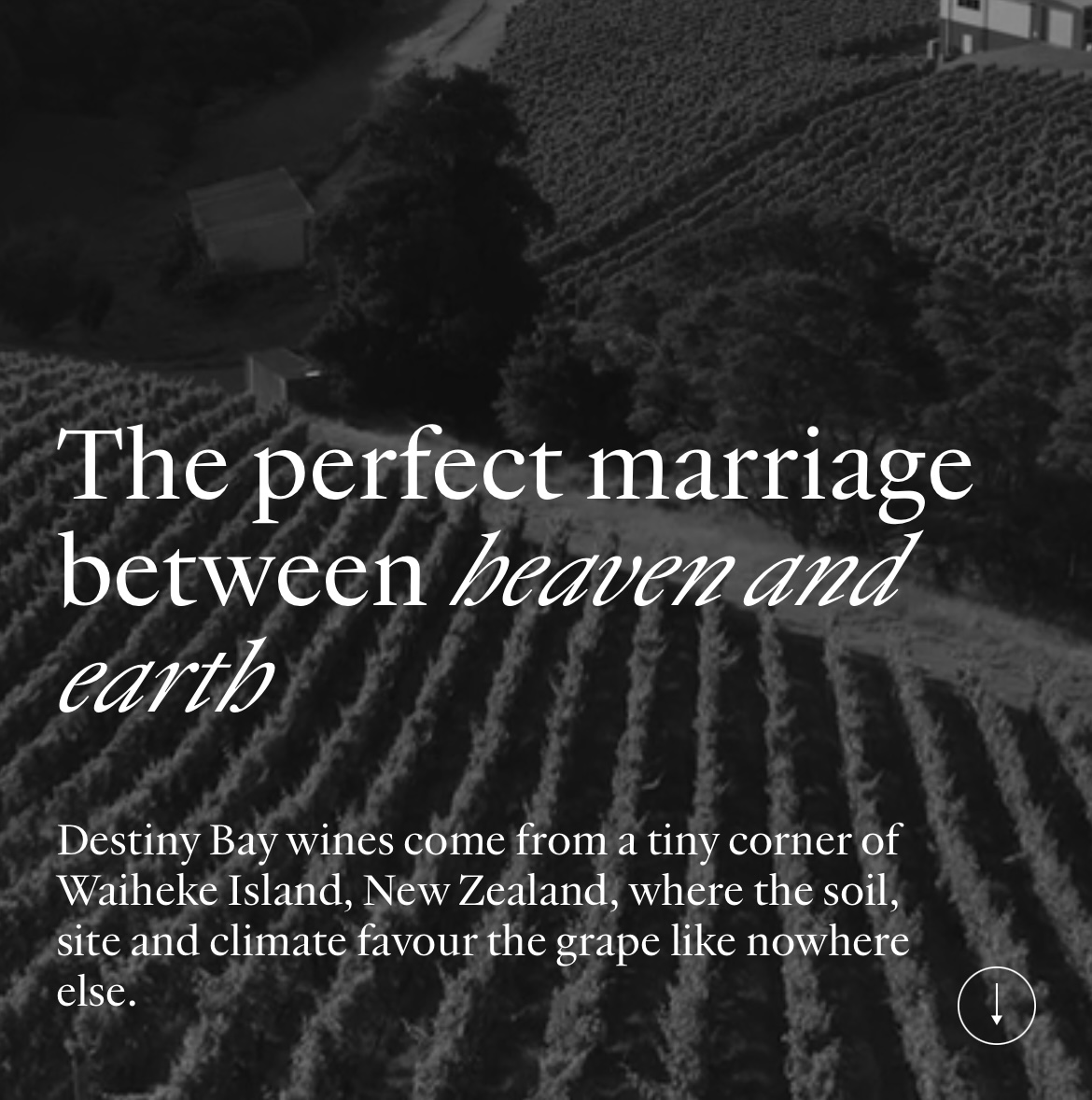 DestinyBay's tweet image. Wines get better with age, but websites can always use a face lift. We have worked with the amazing team at @generalstudios_ to deliver a sleek and modern design that we feel is reflective of the Destiny Bay brand and promise.
destinybaywine.com