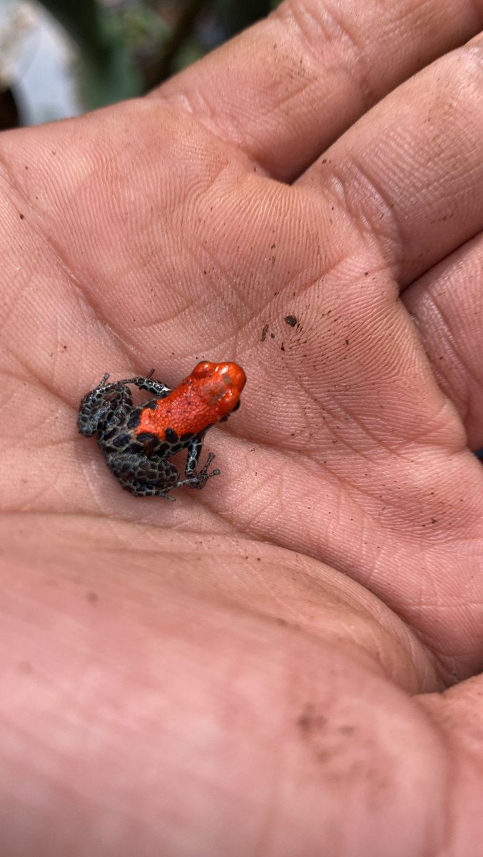 𝐂𝐡𝐫𝐢𝐬.𝐌. tweet media