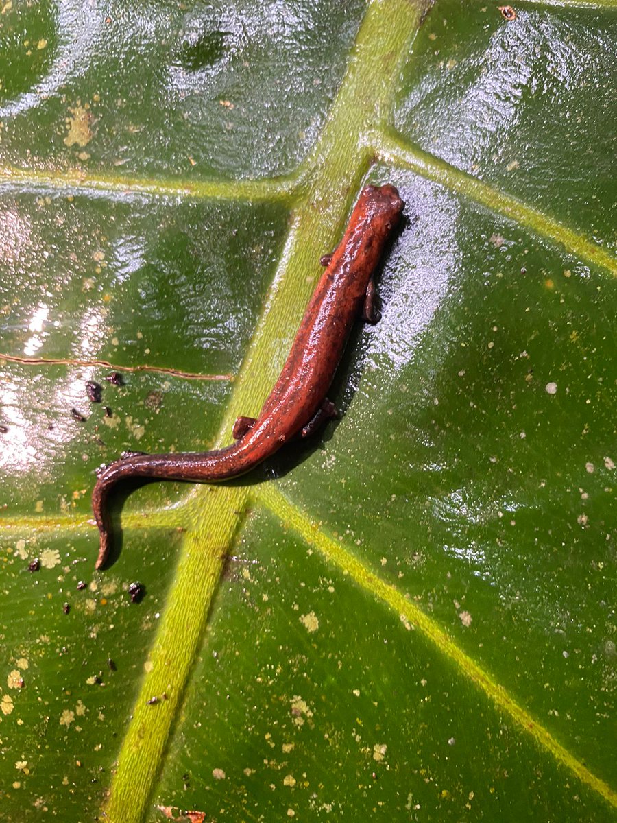 𝐂𝐡𝐫𝐢𝐬.𝐌. tweet media