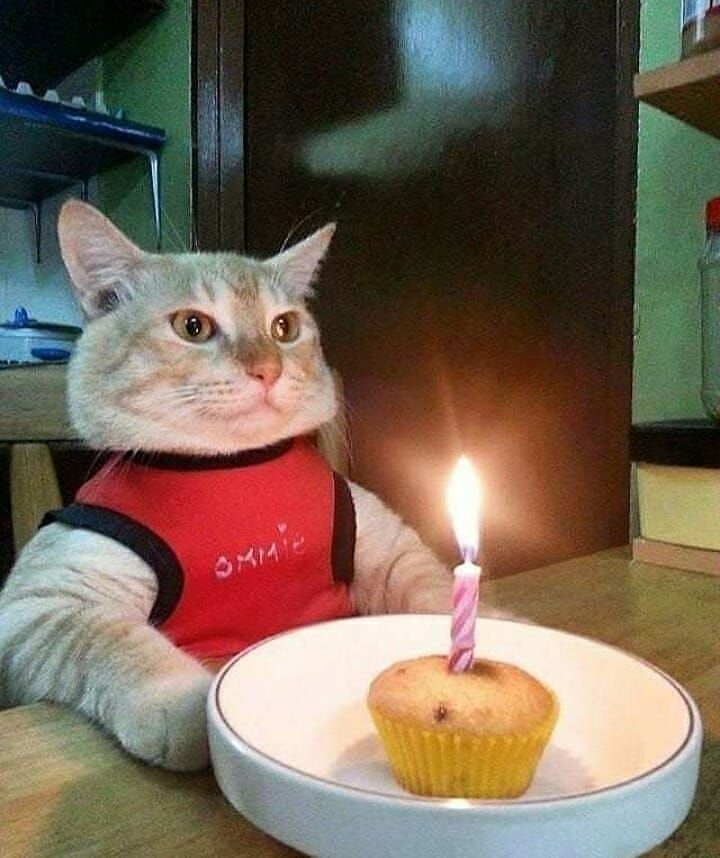 20, officially old