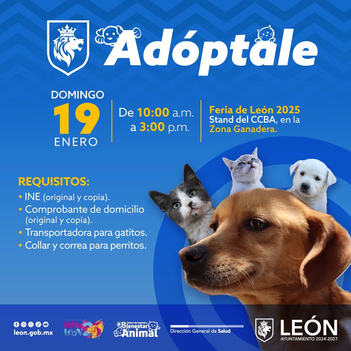 Salud Municipal León tweet media