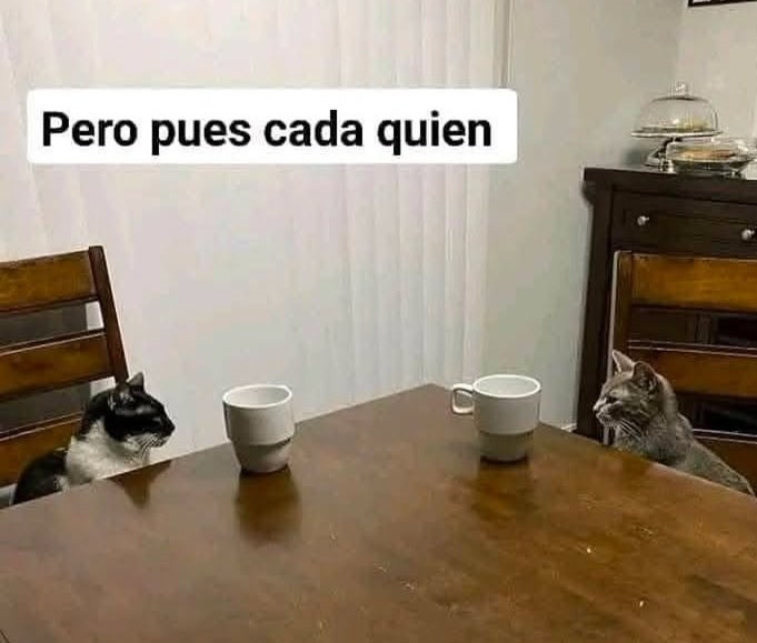 después de tanto hoy por fin coincidimos para juntarnos con las chicas