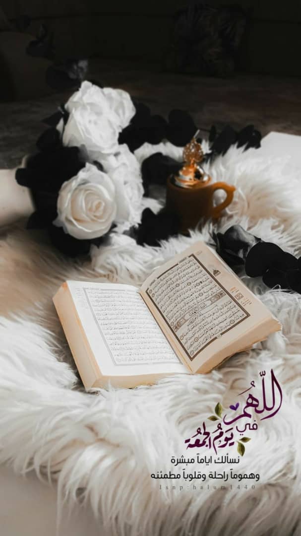 اللهم صلِّ صلاةً كاملةً وسلّم سلاماً تامّاً على نبيٍّ تنحلُّ به العُقَدُ وتنفرجُ به الكُرَبُ وتُقضى به الحوائجُ وتُنالُ به الرغائبُ وحُسنُ الخواتيم ويُستَسقى الغمامُ بوجهه الكريم وعلى آلهِ
#يوم_الجمعة 
#علي_النبي_صلو