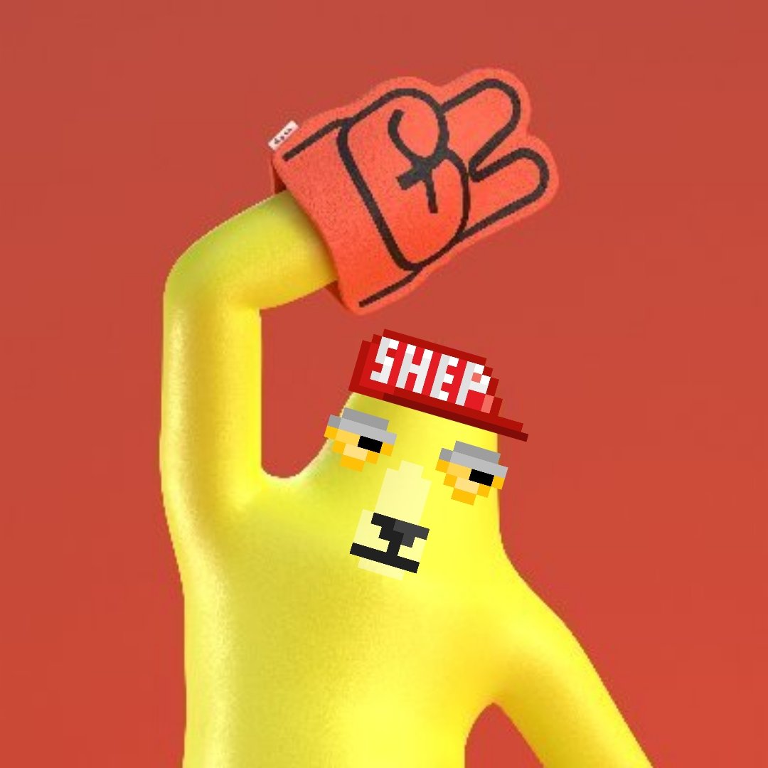 Shep || MEEP 🐑 tweet media