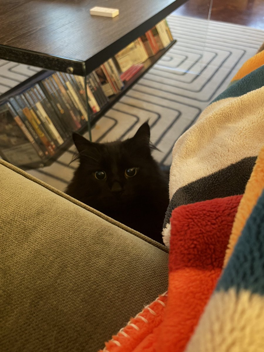 New prestige day 👀