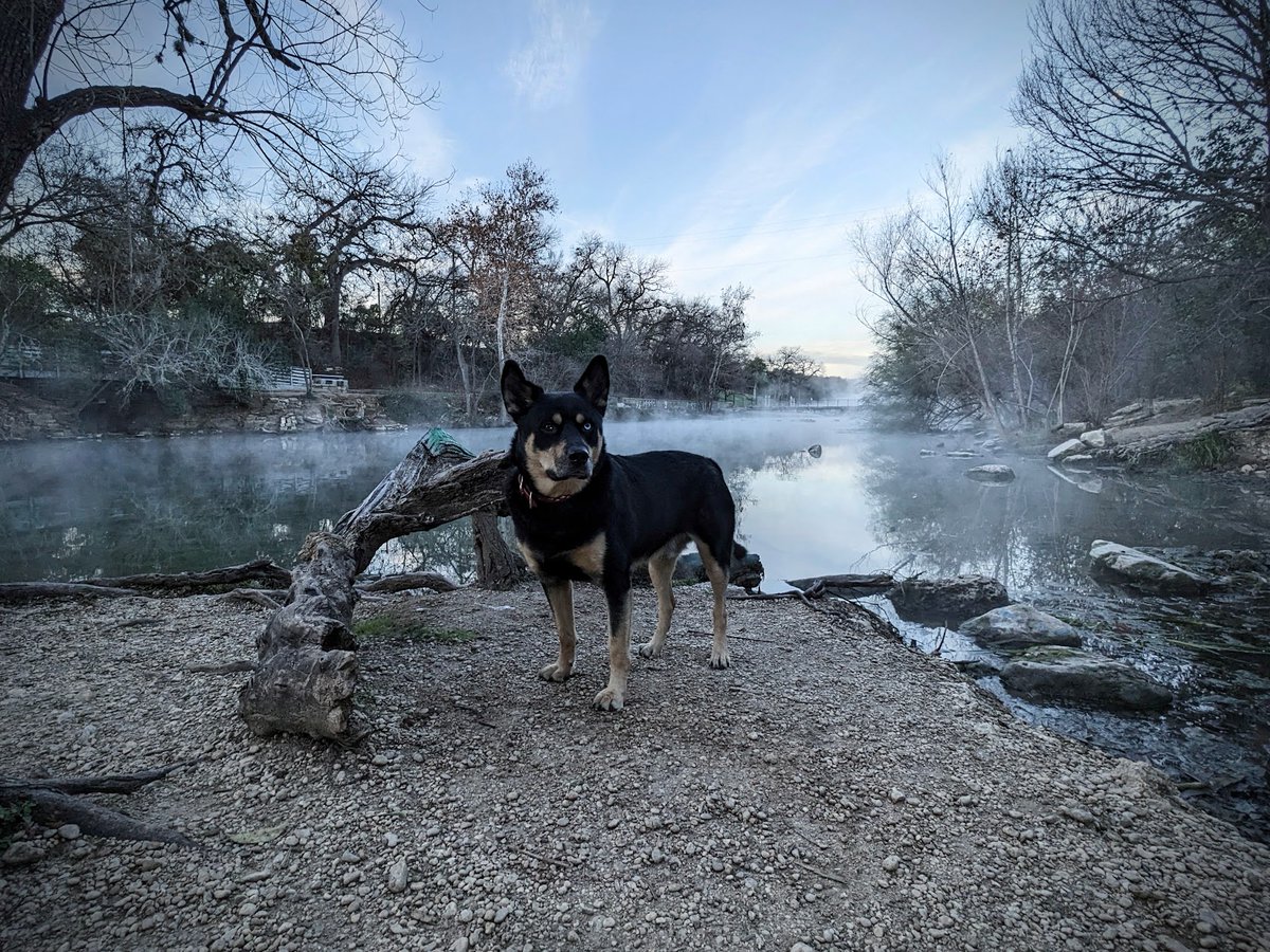 FTLRalph's tweet image. it&apos;s straight Twilight up in here
#unrequested