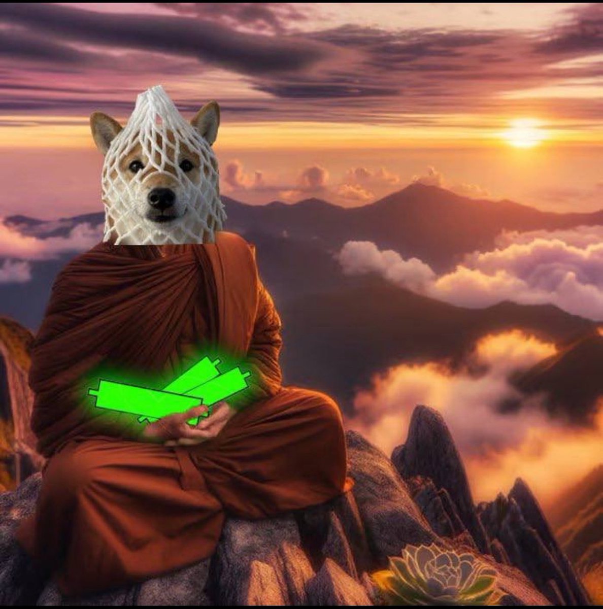 wREE_7's tweet photo. $wDOG battle tested approved 

successfully stood strong against multiple major dips -90% and delusional holders believing the whole time remained unfazed 

wgmi stay wrapped or forcefully get wrapped $wDOG https://t.co/gLSTPhAG5W