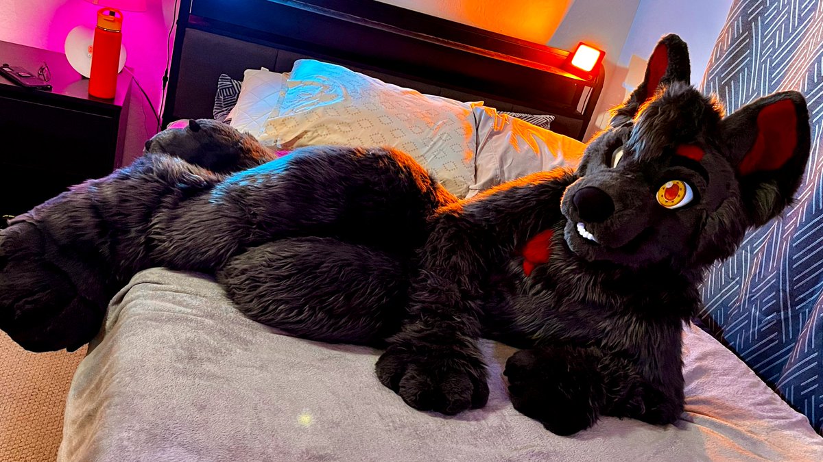 SolitarTheWolf's tweet photo. Surprise! I'm at FC'25. https://t.co/G48ojk5XCI