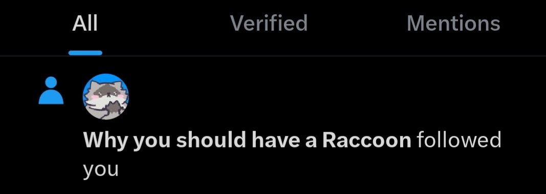 Why you should have a Raccoon tweet media