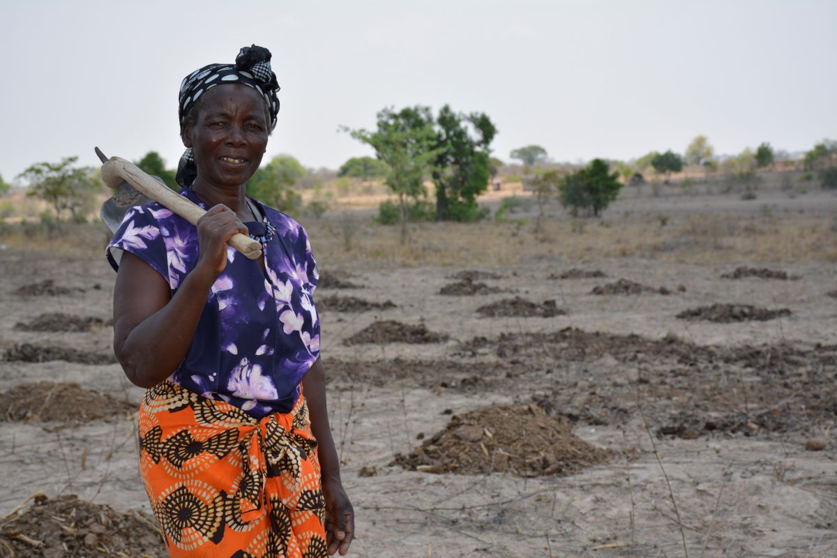 🌱 Over 80% of farms are under 2 hectares, yet smallholders face #climatechange and pest challenges. Early-Stage On-Farm Testing by #CIMMYT ensures new crop varieties thrive in real-world conditions, empowering farmers and boosting #foodsecurity➡️ bit.ly/4amxphd