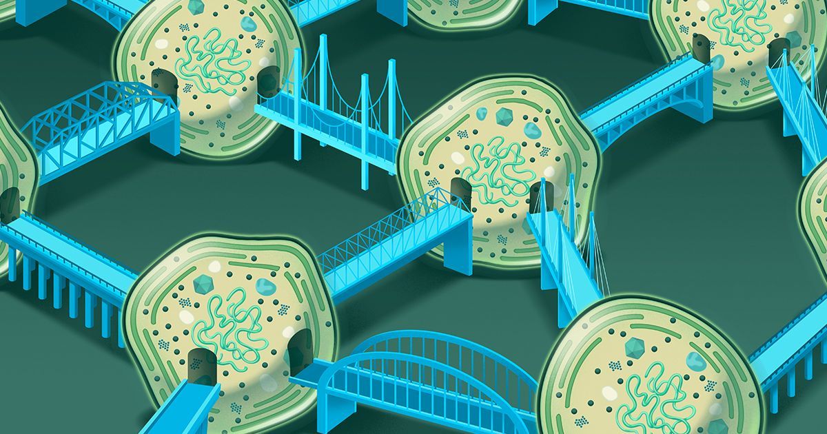 Paul Dovas tweet media