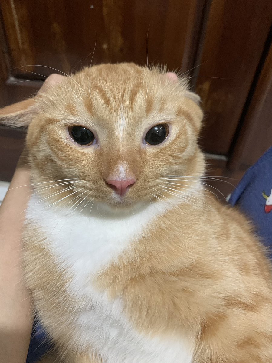 Sam 🦖 tweet media