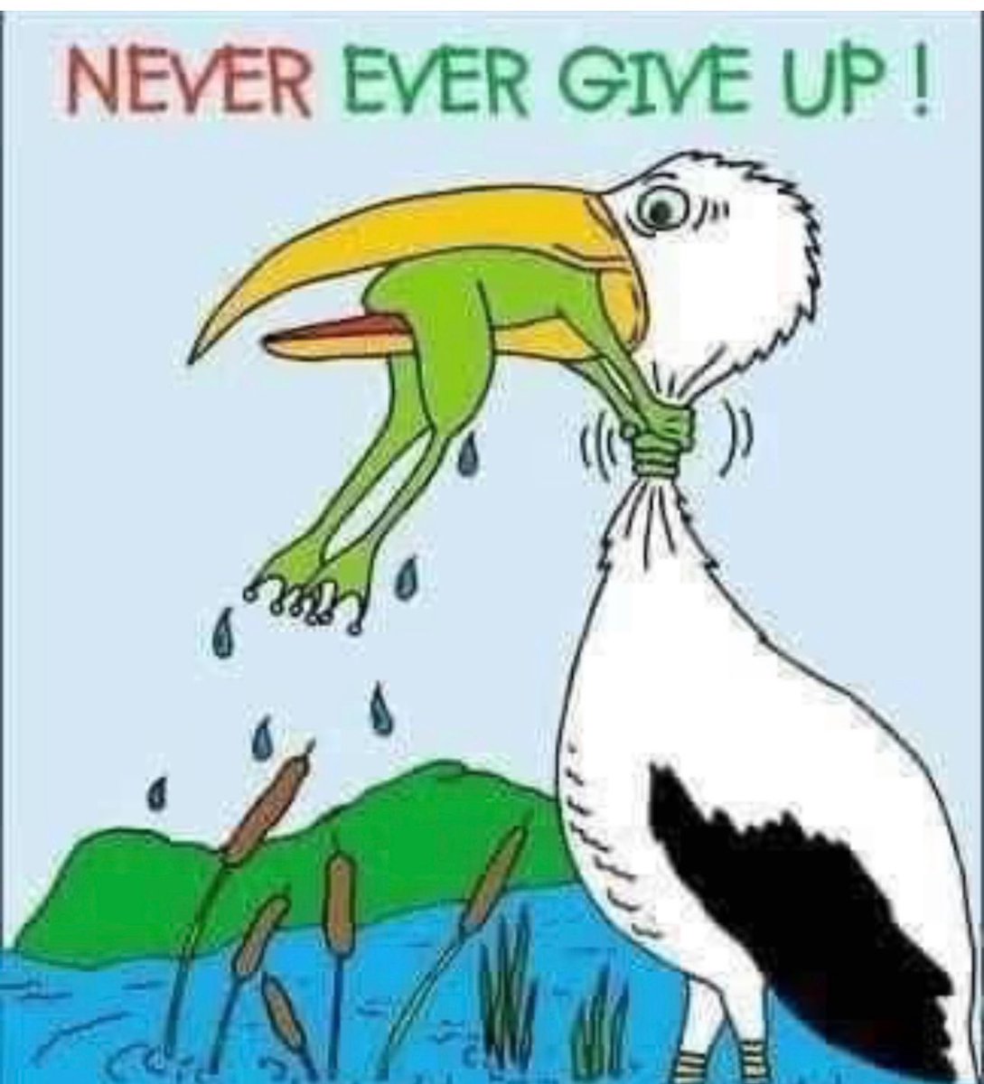 <a href="/elonmusk/">Elon Musk</a> Cool 😎 things are found in failure at times! 🔥💥💥