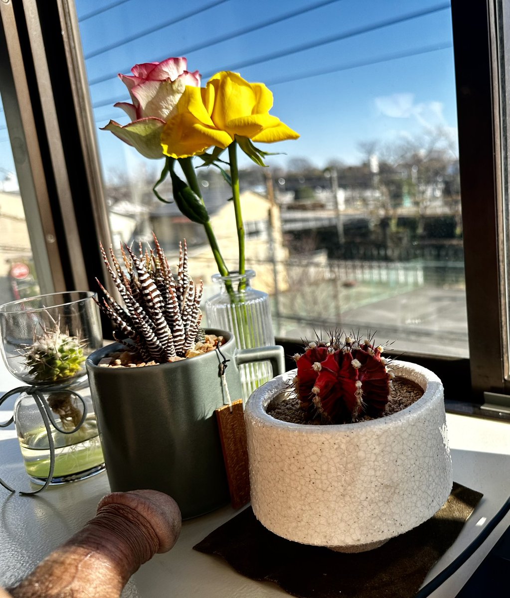 phantom_hide's tweet image. 今日も良い天気☀️陽射しが優しい💕