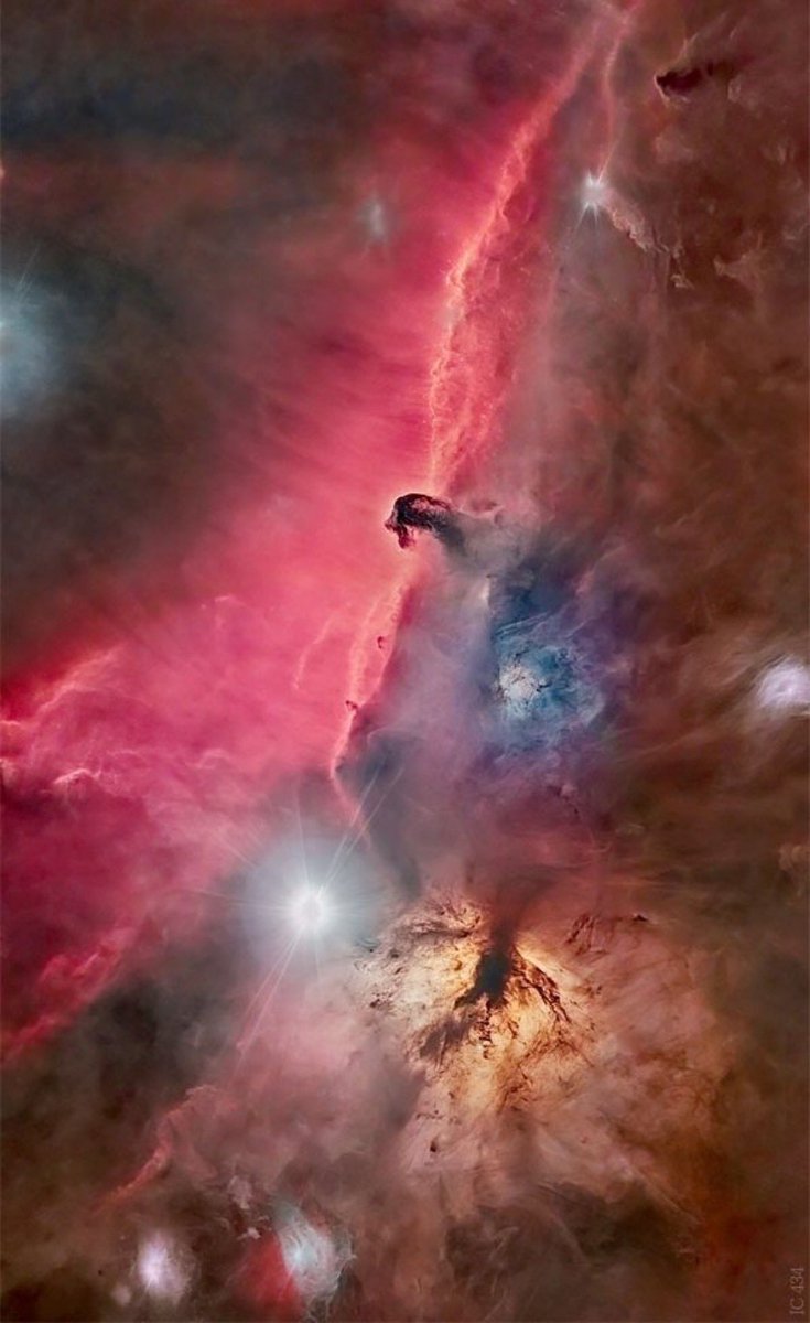 Horsehead Region