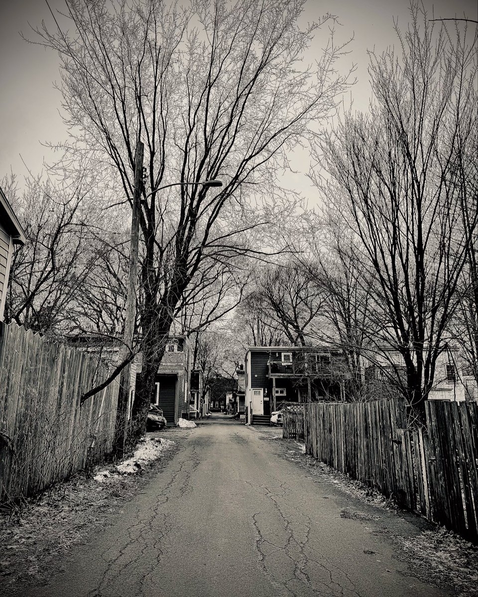 Chebucto Lane, Winter 2025