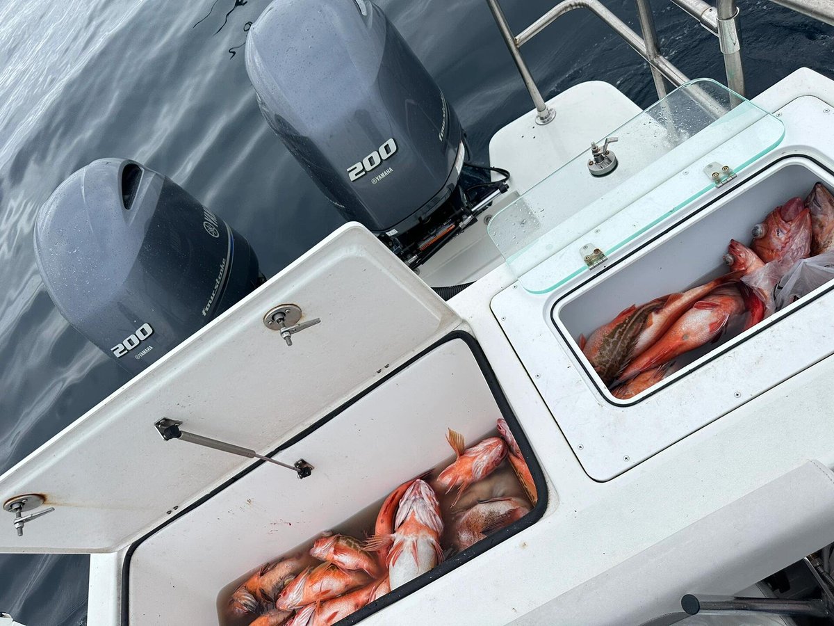 annaolinei's tweet image. The beautiful fishermen of Miami seek not only catch, but also freedom and adventure. Every time she sails out to sea, it's a journey of the heart." 🌅 💃 🌊