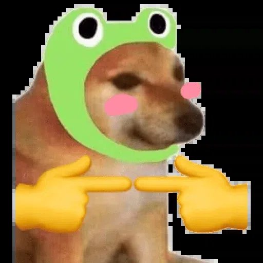 $doge is the bitcoin of meme coins if u don’t realize that ur so freaking retarded omggggg